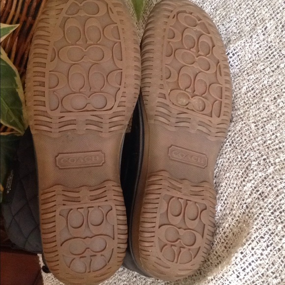 Coach - Picture 4 of 7